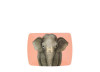 PALETA AMBIENT ED ELEPHANT- HOURGLASS PALETA AMBIENT ED ELEPHANT- HOURGLASS