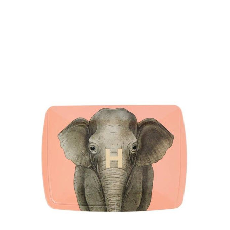 PALETA AMBIENT ED ELEPHANT- HOURGLASS | Glam Store Makeup - Sua