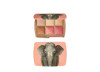 PALETA AMBIENT ED ELEPHANT- HOURGLASS PALETA AMBIENT ED ELEPHANT- HOURGLASS
