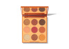 9D PAINTED DESERT ARTISTRY PALETTE 9D PAINTED DESERT ARTISTRY PALETTE