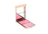 JUST ENOUGH DOUBLE TAKE DUO BLUSH PATRICK TA FOR FACE PALET
