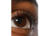 REFY - BLACK LASH SCULPT LENGTHEN AND LIFT MASCARA REFY - BLACK LASH SCULPT LENGTHEN AND LIFT MASCARA