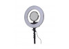 RING LIGHT BY KLASS VOUGH  RING LIGHT BY KLASS VOUGH