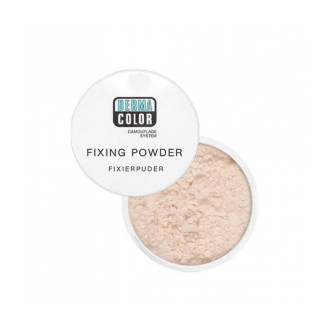 FIXING POWDER P11 20G KYOLAN